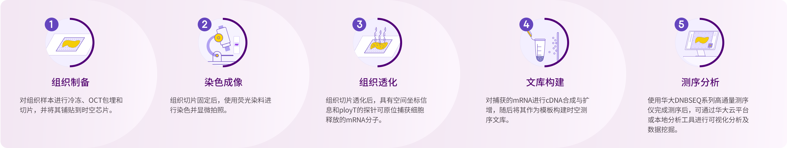 操作流程