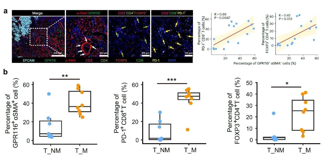 微信图片_2025-11-09_195446_521