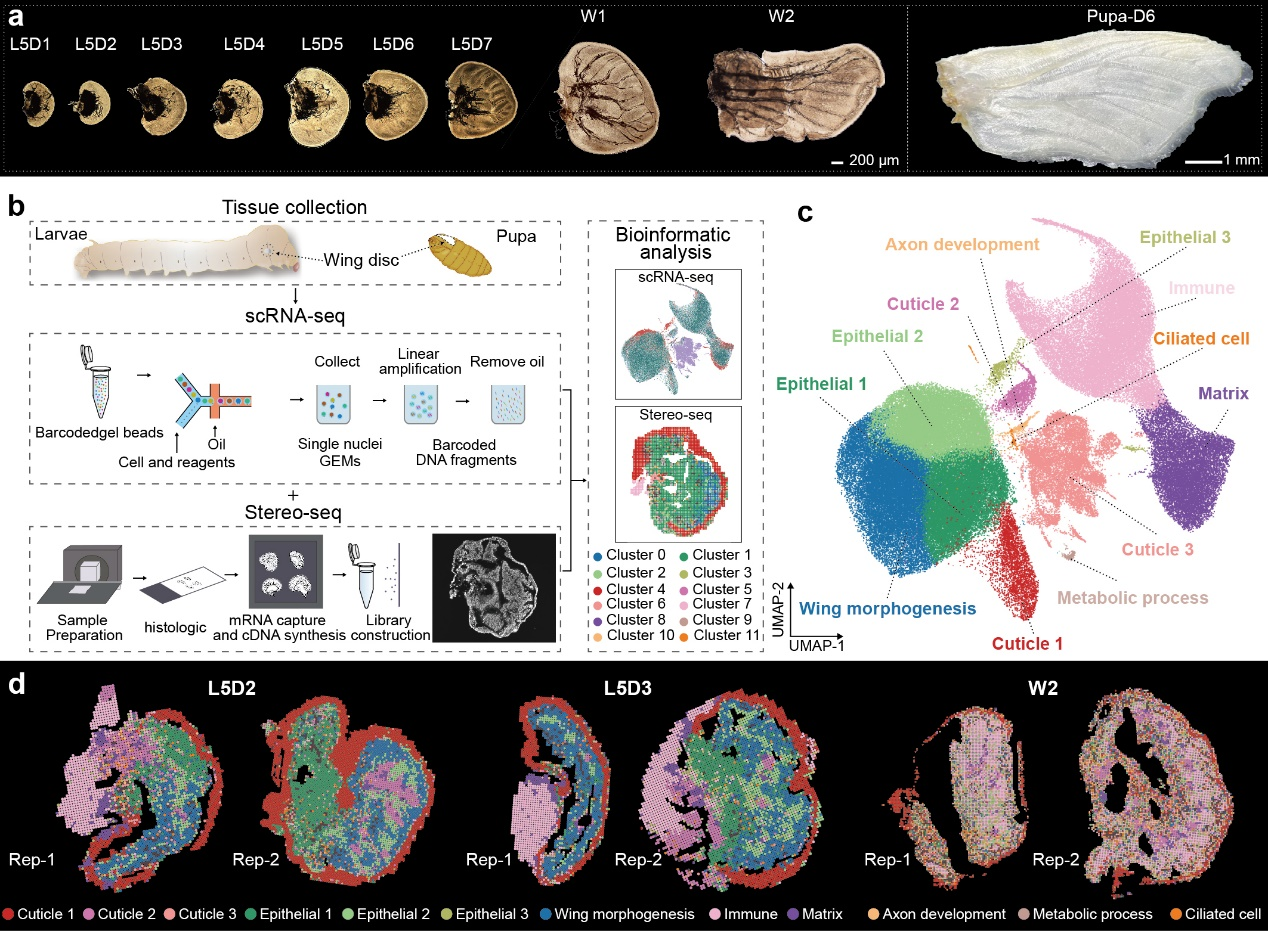 微信图片_2026-03-25_173653_976