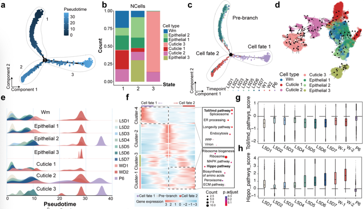 微信图片_2026-03-25_173658_932