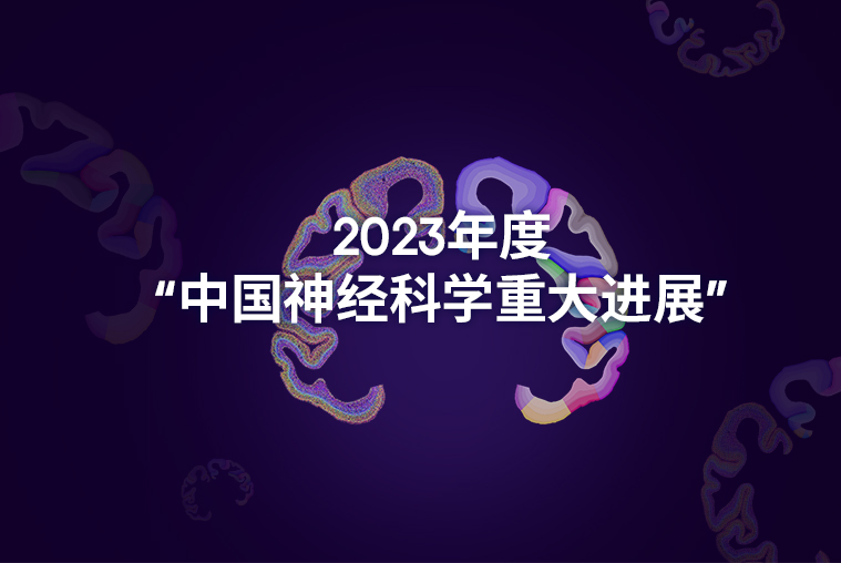 时空组学成果入选2023年度“中国神经科学重大进展”