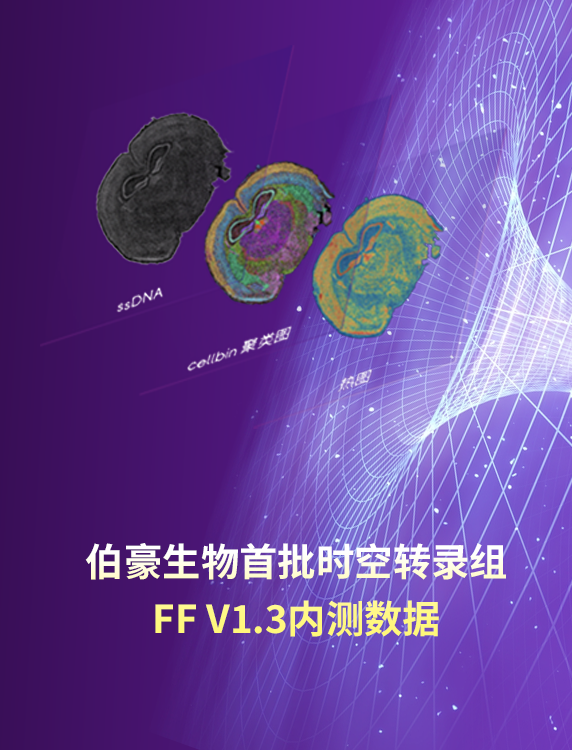 实测 | 伯豪生物首批时空转录组FF V1.3内测数据新鲜出炉