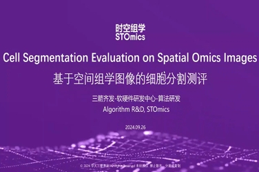 基于空间组学图像的细胞分割测评