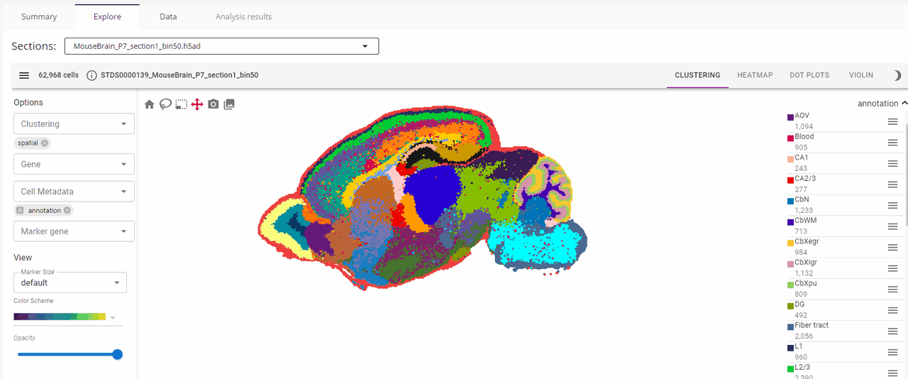 A cellular resolution spatial transcriptomic landscape of the postnatal mouse brain