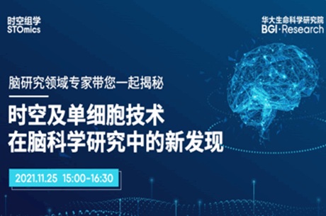 时空及单细胞技术揭示脑科学研究新发现 | 时空组学构建蝾螈脑再生时空图谱