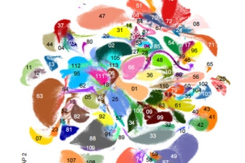 非人灵长类动物全细胞图谱发布入选2022年度中国十大医学科技新闻