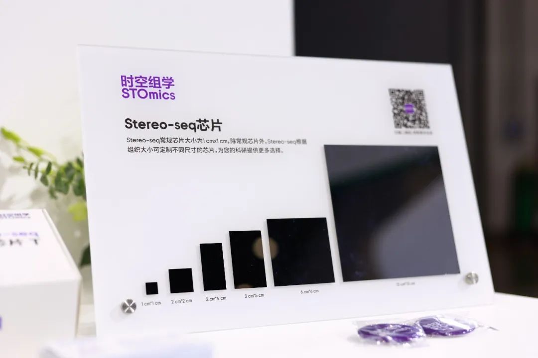 三亚华大携手荷兰科因公司，Stereo-seq助力种业科技创新