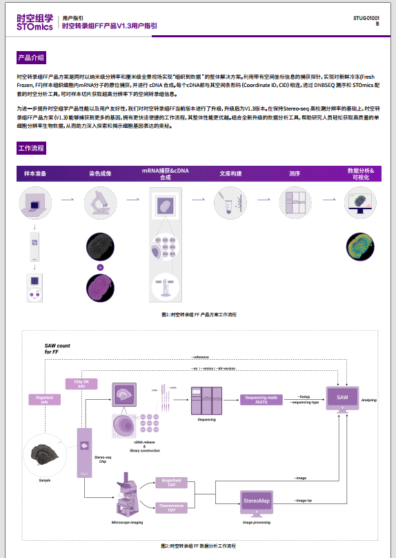 时空转录组FF V1.3产品用户指引