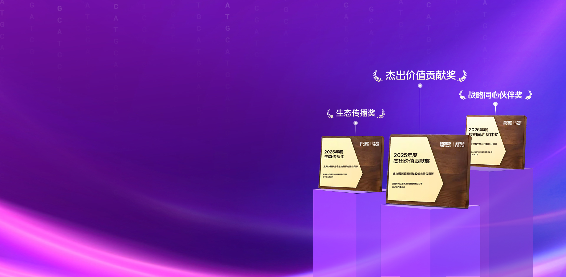 携手共进，再攀高峰