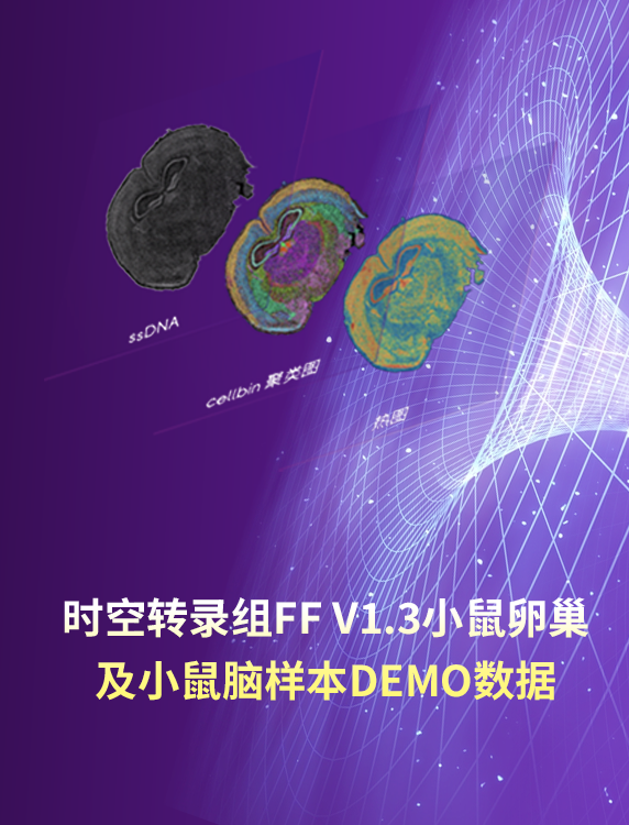 DEMO上新 | 更高捕获！时空转录组FF V1.3“秀”出“硬实力”