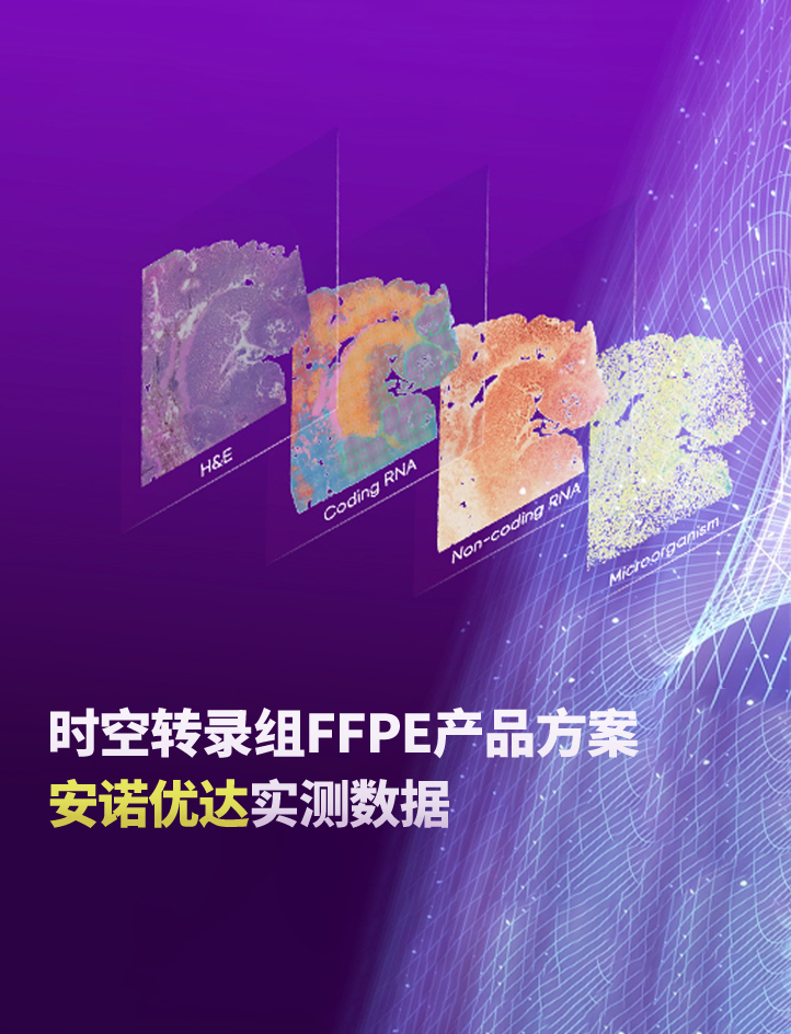 实测 | 安诺优达时空转录组FFPE数据表现亮眼