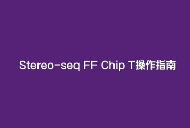 时空Stereo-seq v1.3 操作视频-载具芯片T流程