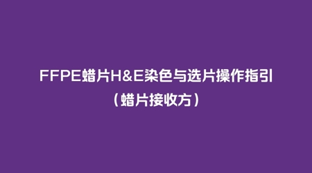 FFPE蜡片H&E染色与选片操作指引（蜡片接收方）