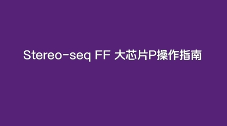Stereo-seq FF V1.3大芯片P操作指南