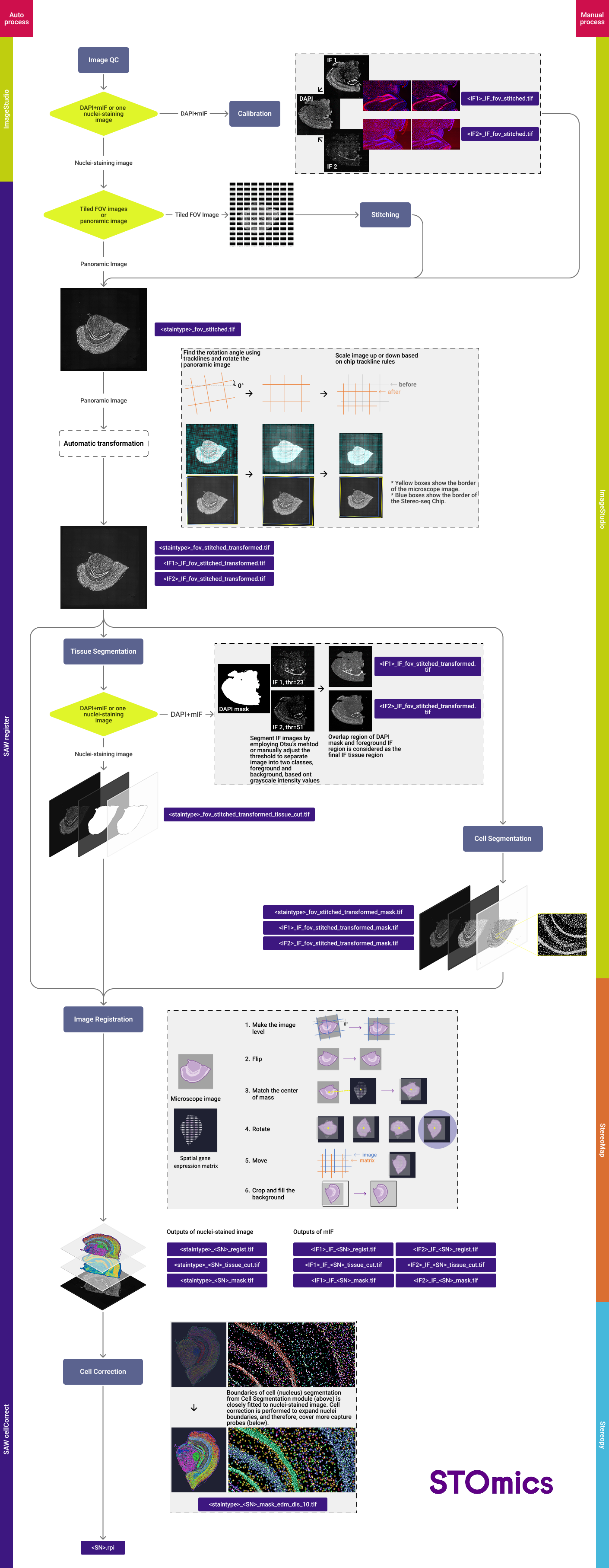 Stereo-seq_image_processing_overview_v1