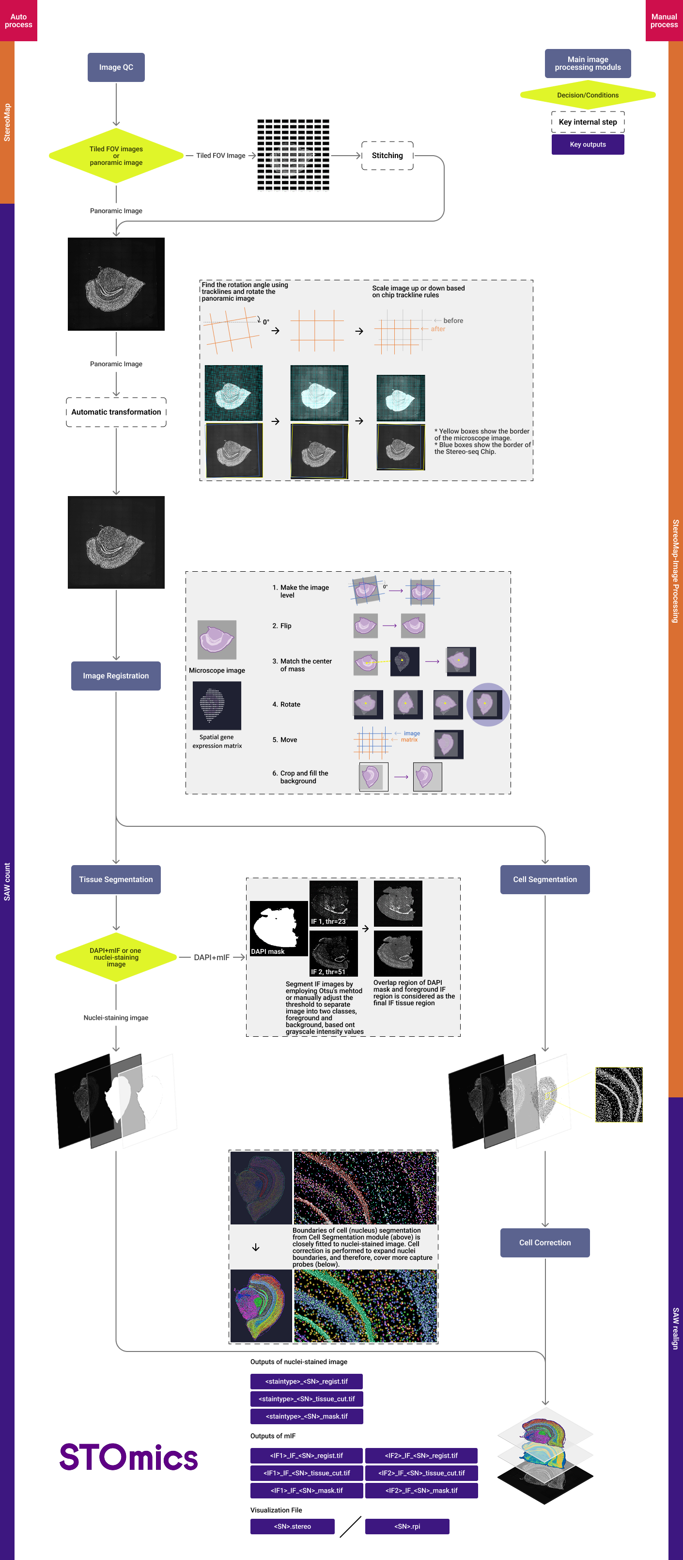 Stereo-seq_image_processing_overview_v2