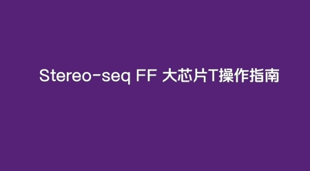 Stereo-seq FF  V1.3大芯片T操作指南
