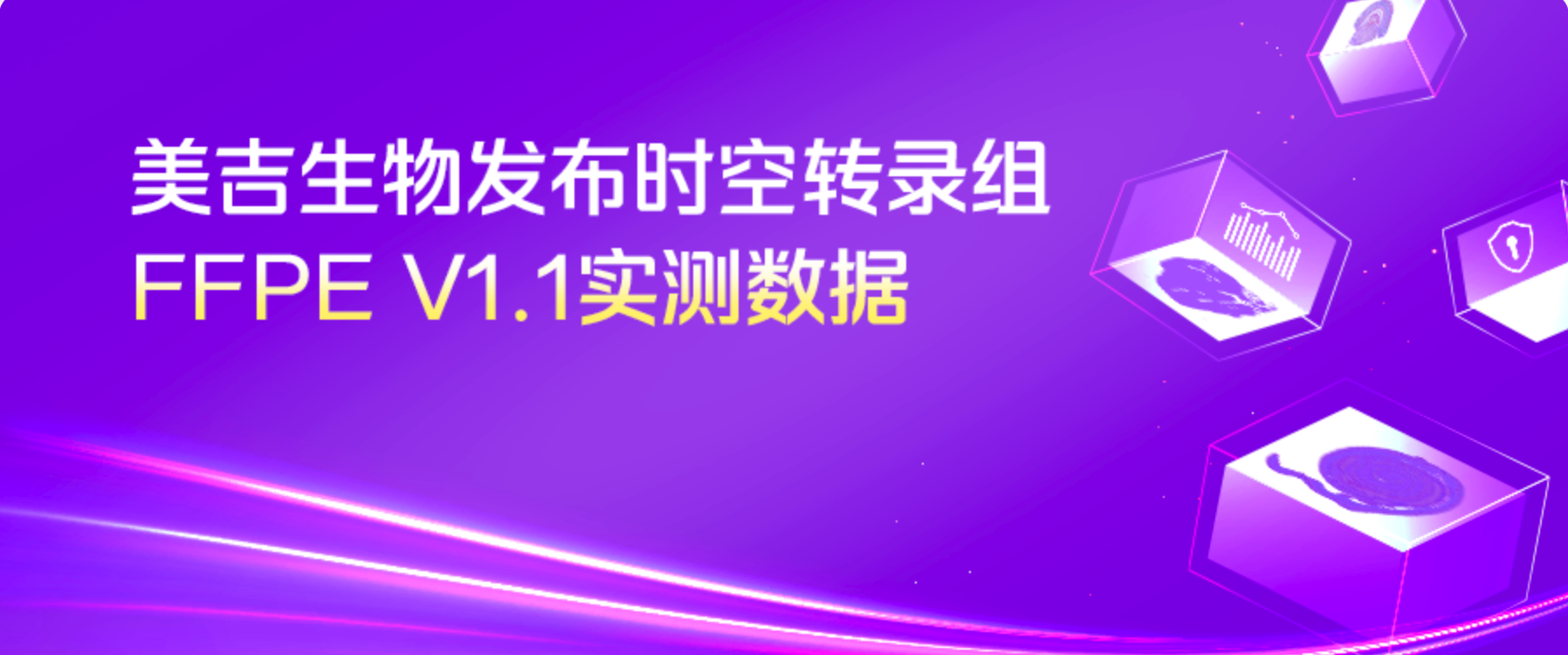 实测上新 | 美吉生物时空转录组FFPE V1.1实测数据卷出新高度