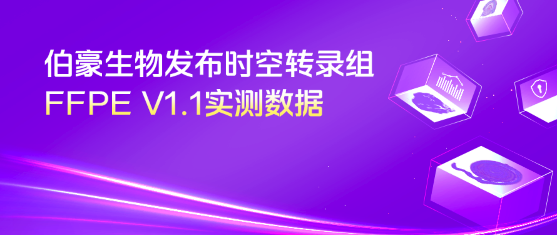 实测上新 | 伯豪生物实测数据揭秘时空转录组FFPE V1.1核心突破