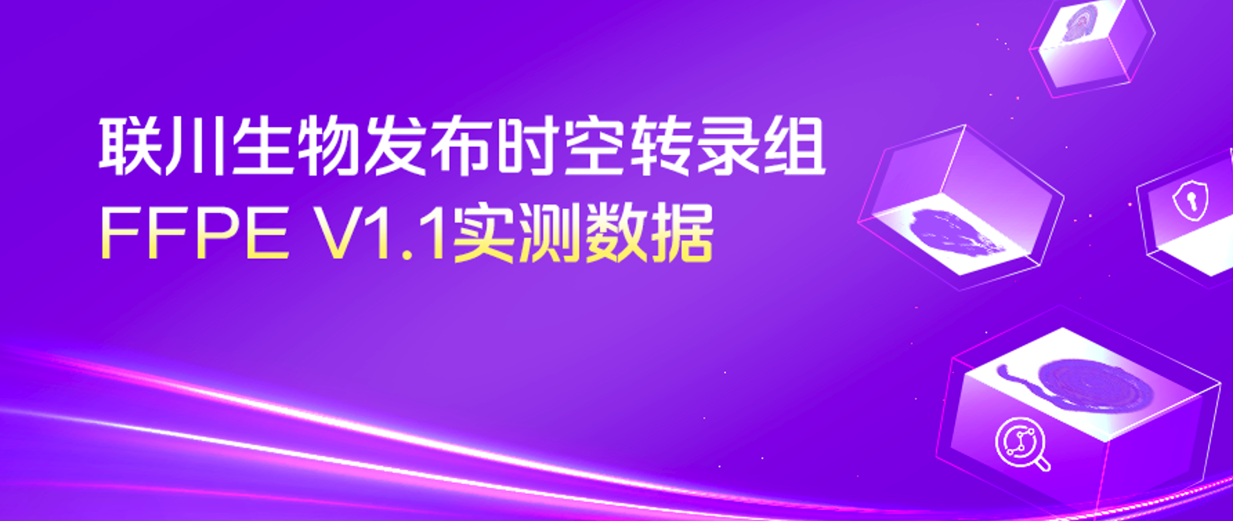 实测上新 | 联川生物时空转录组FFPE V1.1实测数据卷出新高度