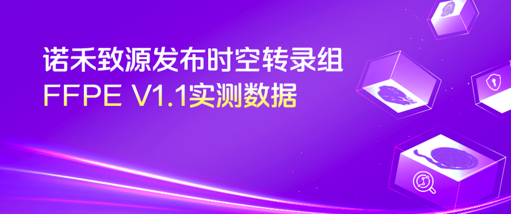 实测上新 | 诺禾致源实测数据揭秘时空转录组FFPE V1.1核心突破