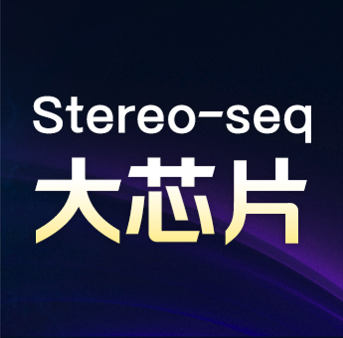 告别“拼图”时代！Stereo-seq大芯片如何重塑生命科学的“全局视野”？