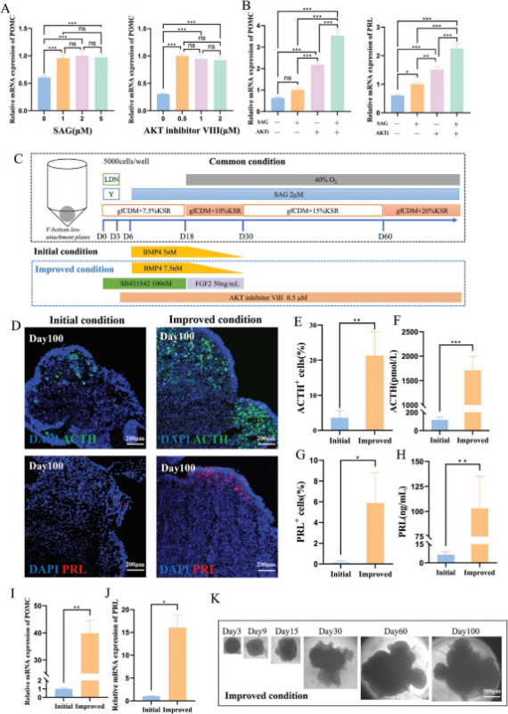 qqqqqqqqqqqqrevervbv图片1