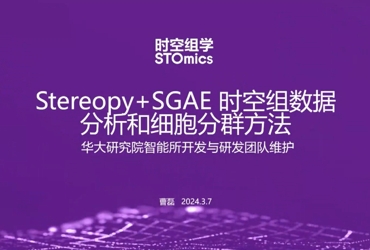 Stereopy+SGAE 时空组数据分析和细胞分群方法
