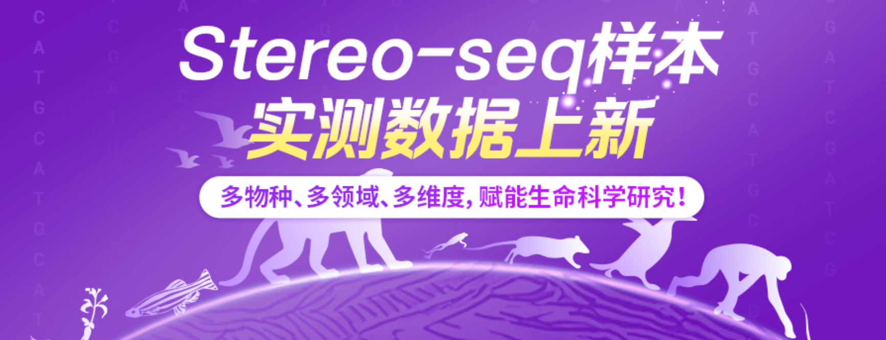 解锁50+物种时空密码！Stereo-seq样本实测数据9月上新