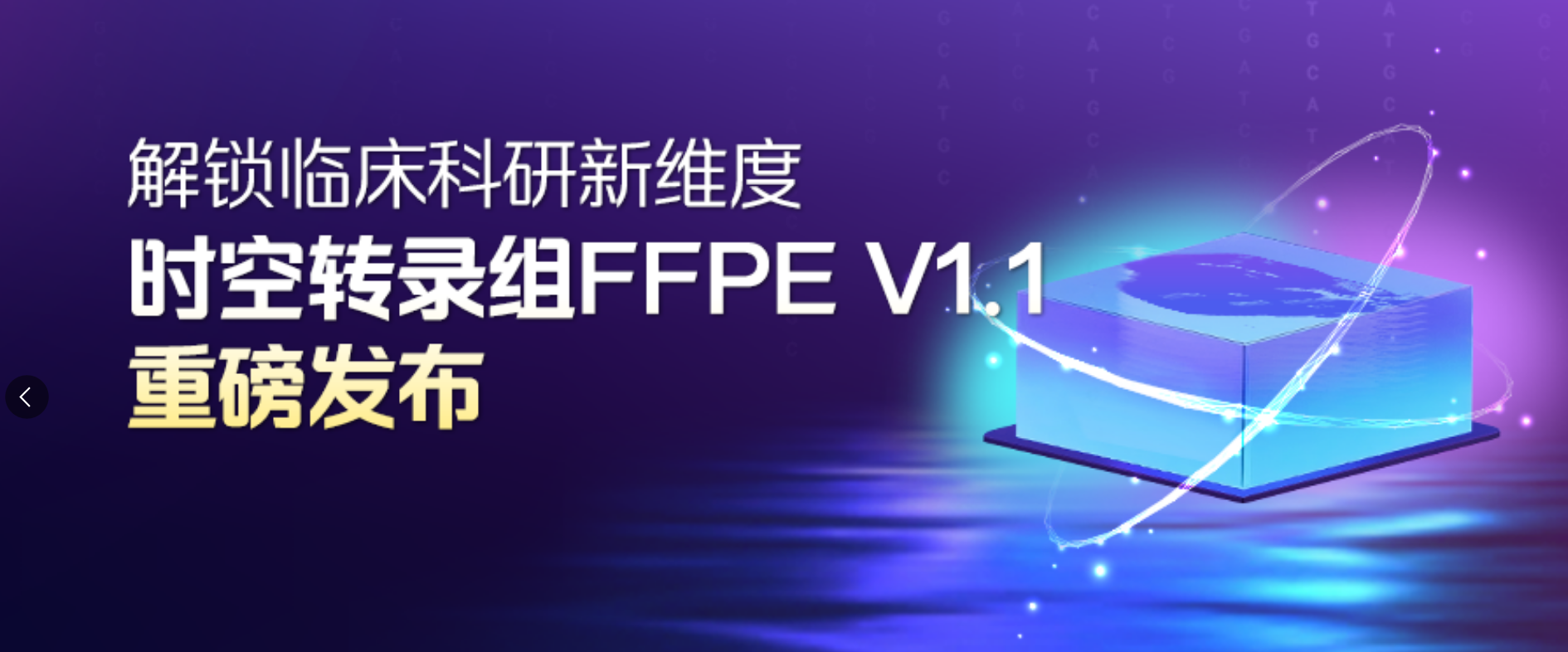 临床科研新利器！纳米级时空转录组FFPE V1.1 预售启动，解锁研究新可能