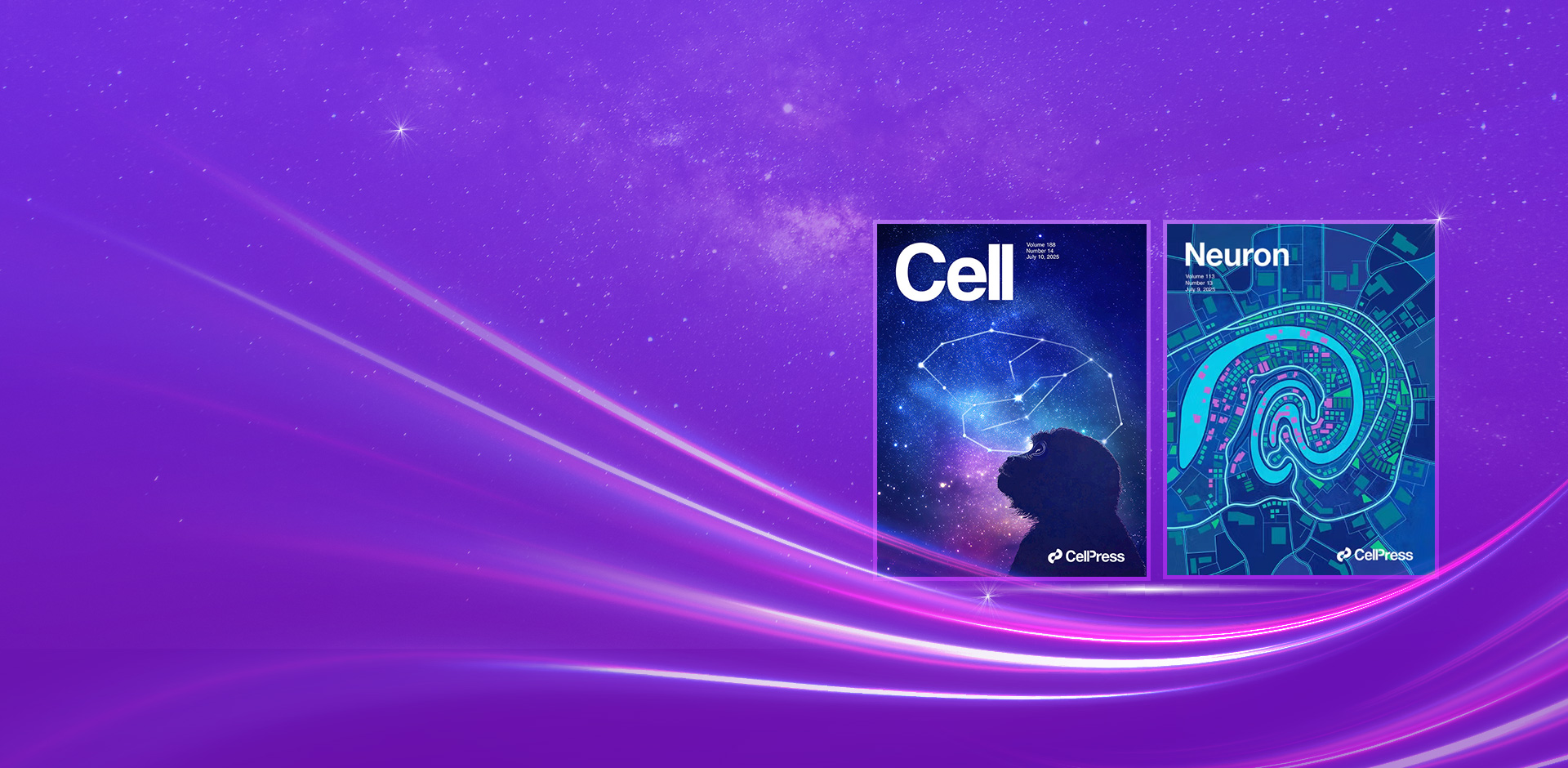 Cell专题！