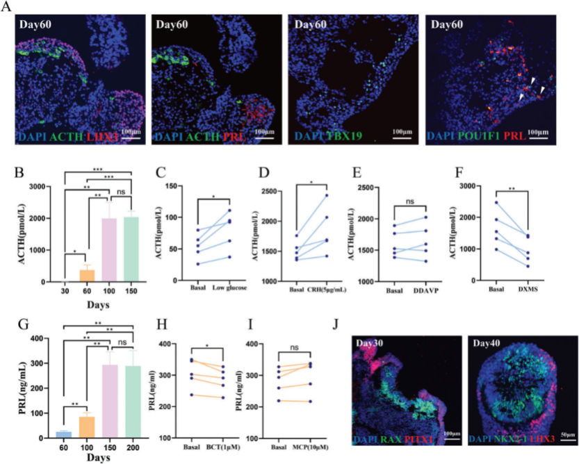 图fffffffffffffffeeee片1