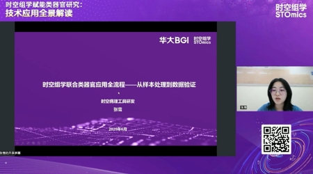 时空组学联合类器官应用全流程——从样本处理到数据验证