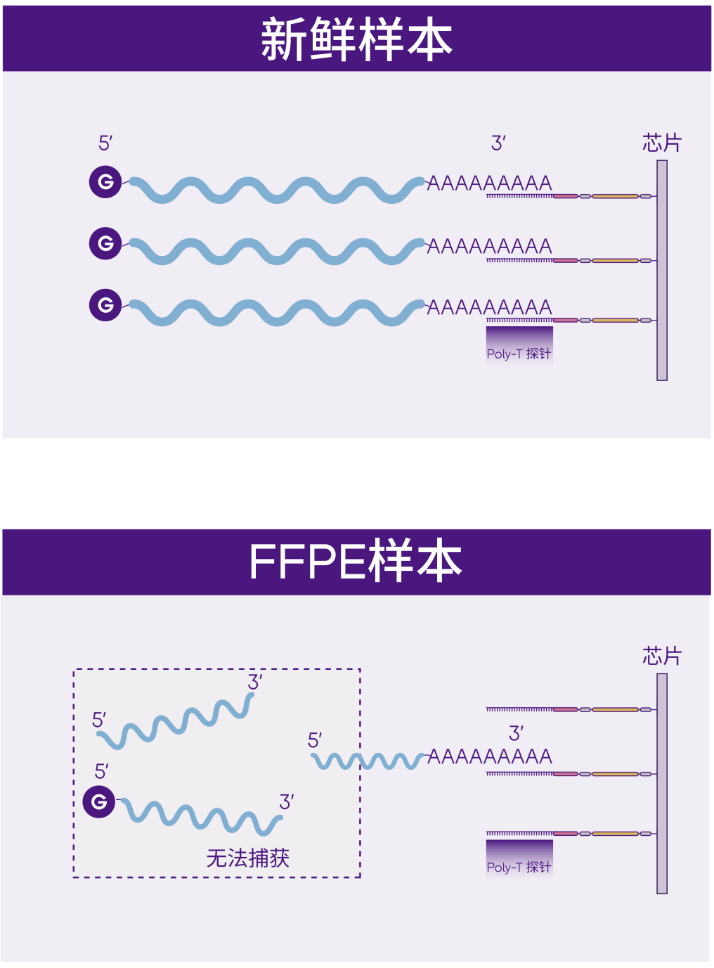 微信图片_20240513105423