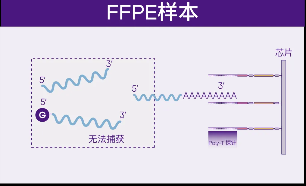 微信图片_20240605173111