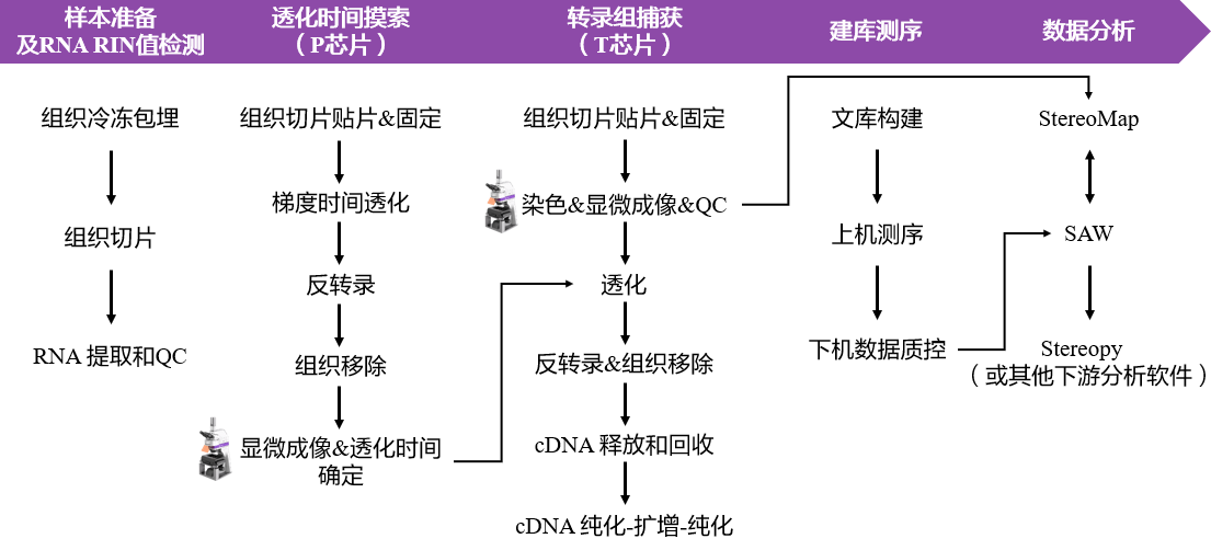 微信图片_20240715104307