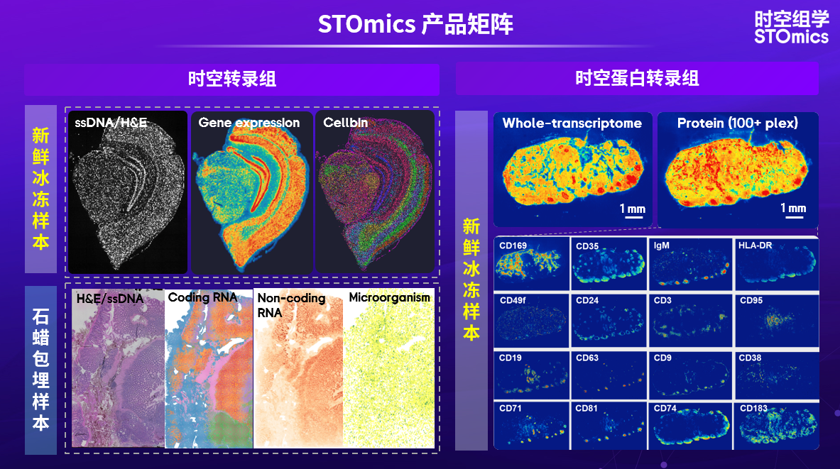 微信图片_20240808150827