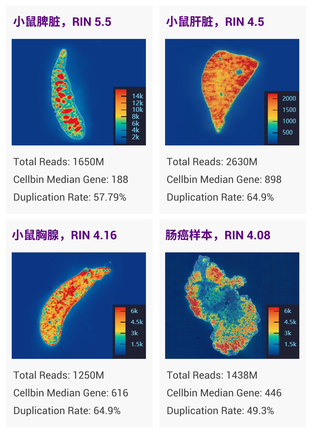 微信图片_20240912090954