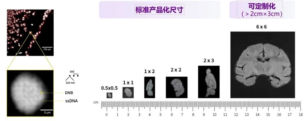 微信图片_20240925100214