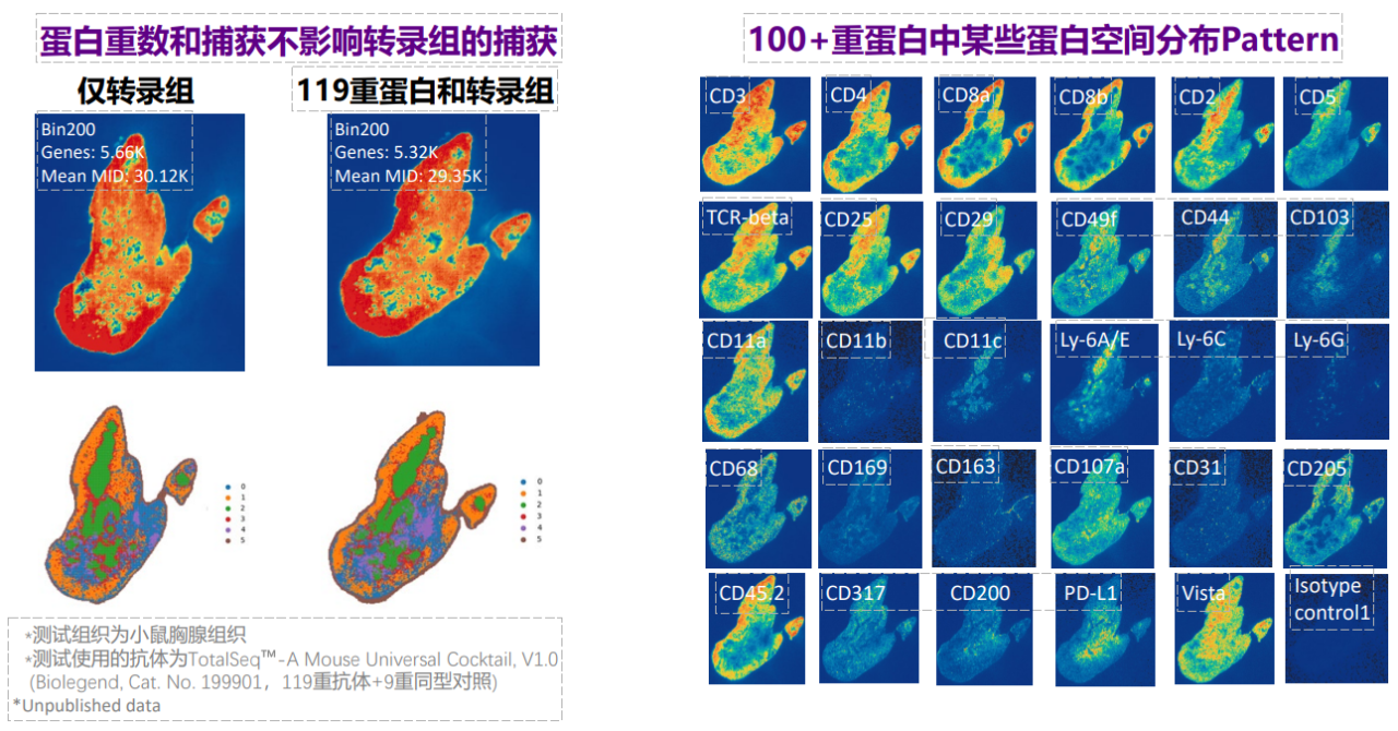 微信图片_20240925100232