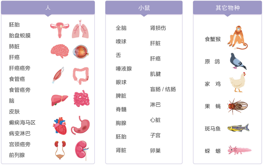 微信图片_20240925100243