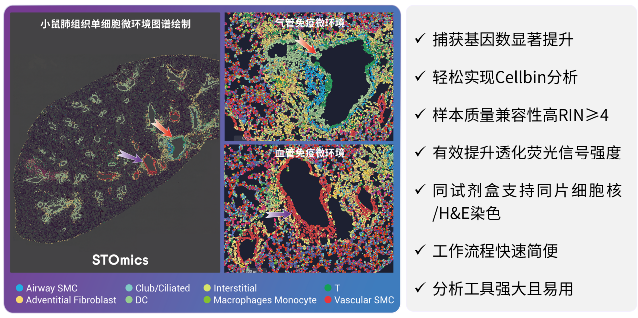 微信图片_20241015114204