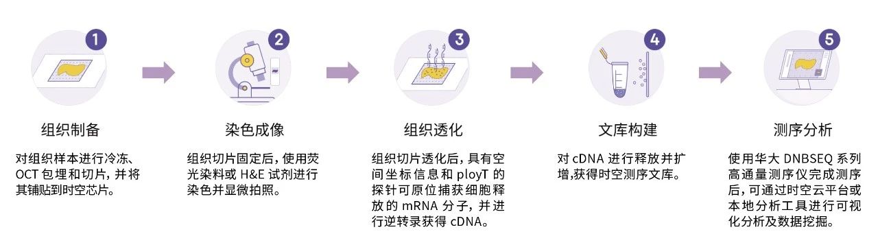 微信图片_20241015114215