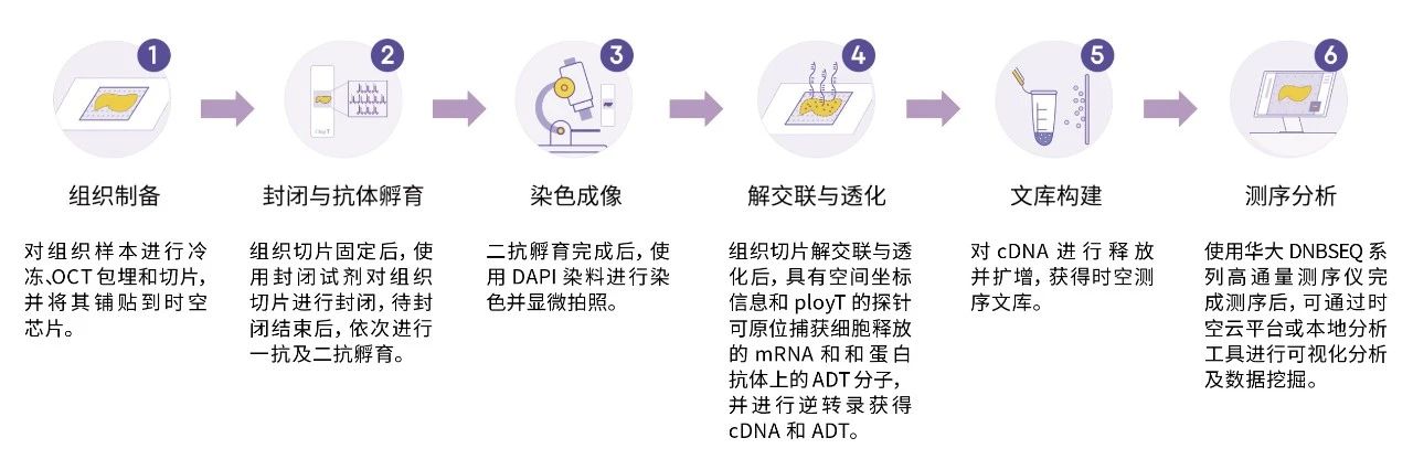 微信图片_20241015114527