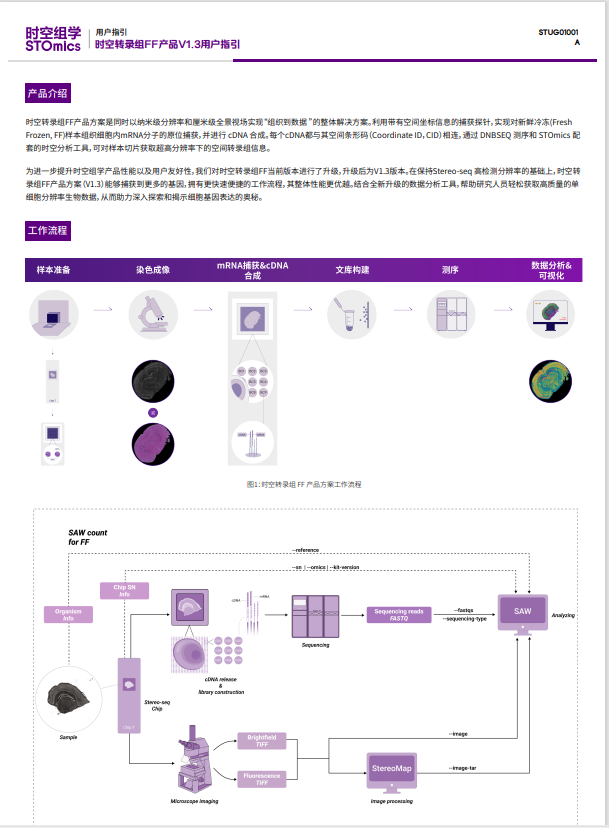 时空转录组FF V1.3产品用户指引