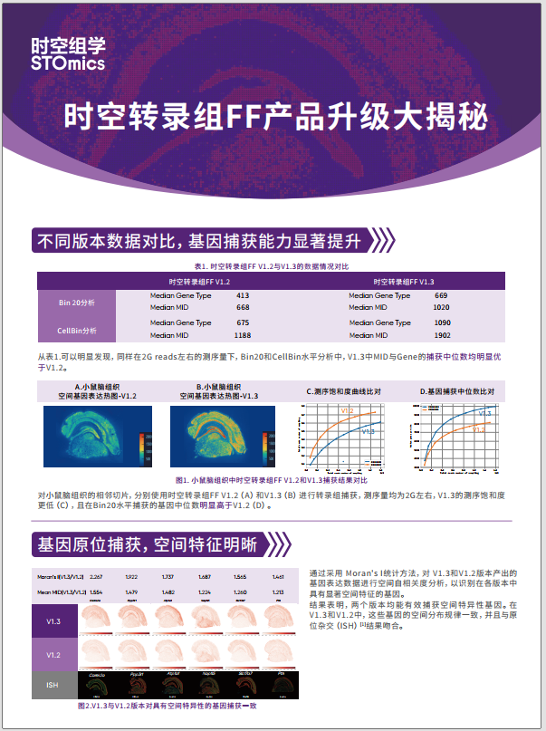 时空转录组FF V1.3 vs V1.2宣传折页