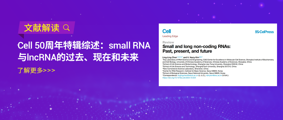 Cell 50周年特辑综述（下） | 时空转录组FFPE在肿瘤样本中对ncRNA的探索