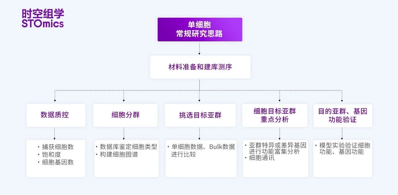 微信图片_20241231093024