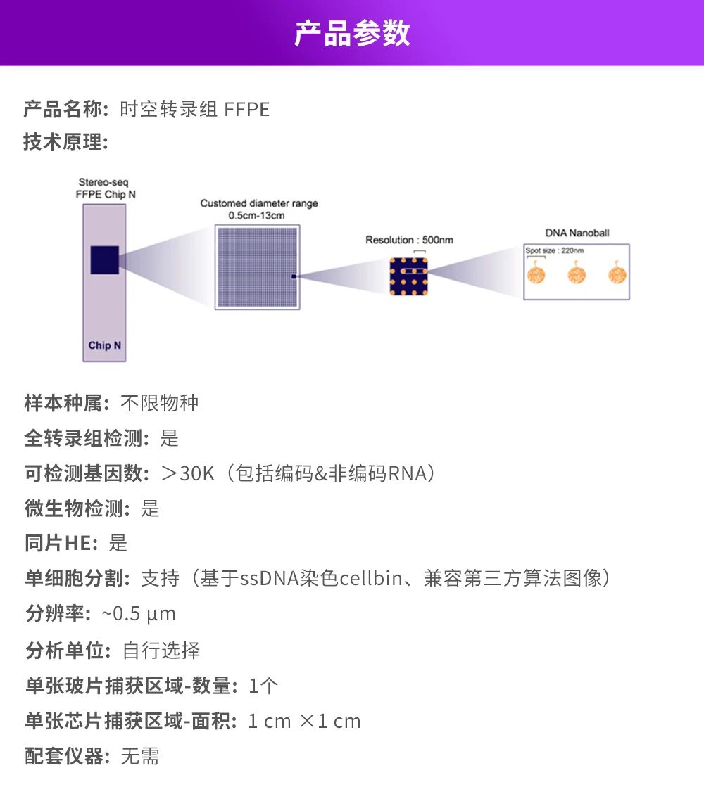 微信图片_20241231093351