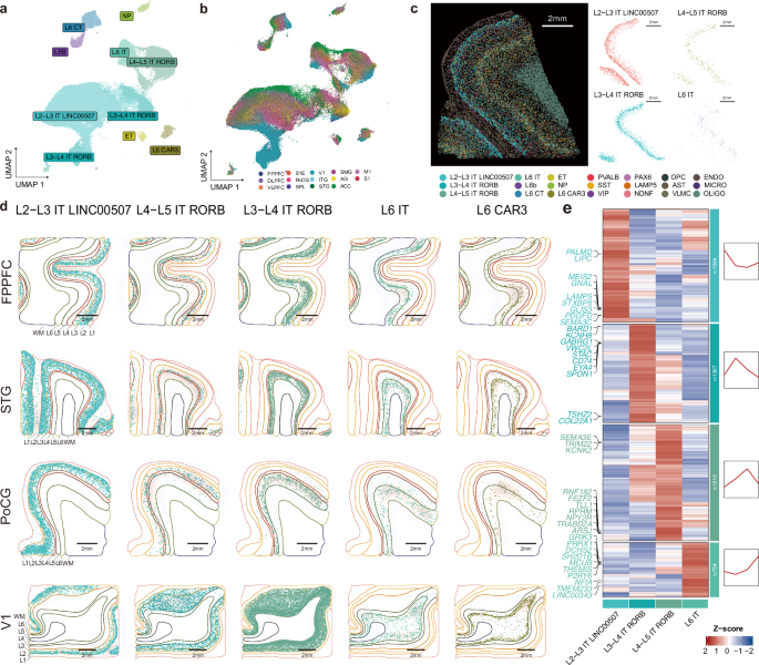 微信图片_2025-11-09_194029_155